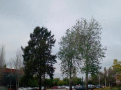 Lunes inestable en la zona sur del Conurbano