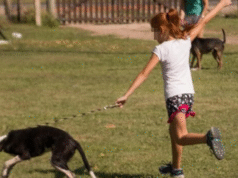 El Campito abre sus puertas a la comunidad