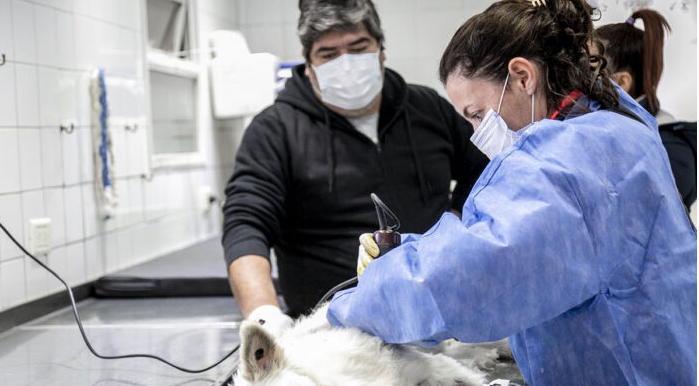 Captura de pantalla 2025-11-27 110555