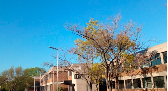 Captura de pantalla 2025-12-12 111619