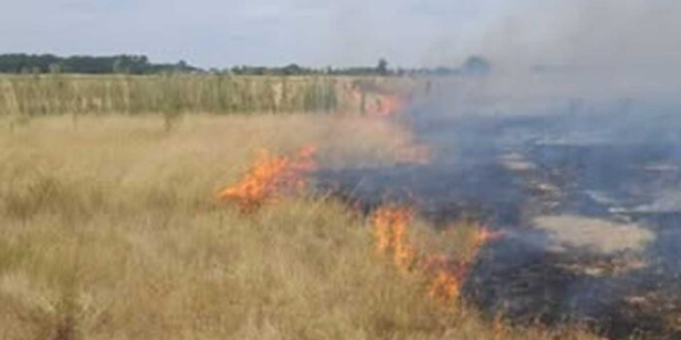 Captura de pantalla 2026-01-07 104953