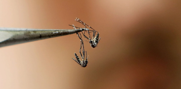 Captura de pantalla 2026-01-20 110202