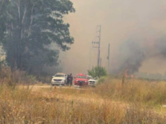 Incendio forestal de gran magnitud en Ezeiza