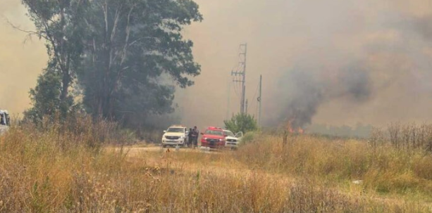Captura de pantalla 2026-01-27 105045