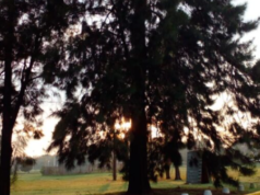 El pronóstico para este viernes en la zona sur del Conurbano