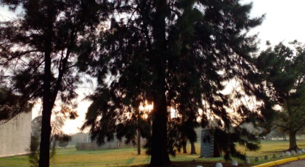 Captura de pantalla 2026-01-30 105733