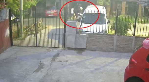 Captura de pantalla 2026-03-04 104840