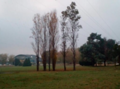 Viernes caluroso y gris en la zona sur: ¿Cuándo llueve?