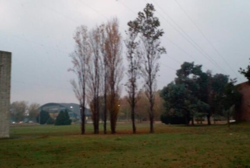 Viernes caluroso y gris en la zona sur: ¿Cuándo llueve?