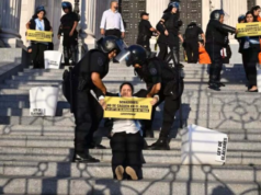 Audiencia pública por la reforma a la Ley de Glaciares