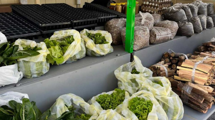 La Facultad de Agrarias sale a vender sus productos